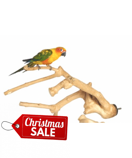 Java Wood Multibranch Perch For Parrots - Small